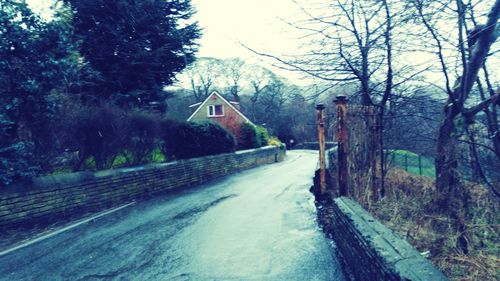 Road passing through bare trees