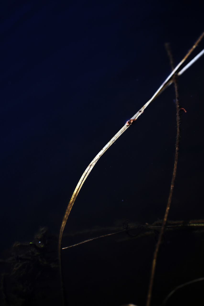 CLOSE-UP OF ROPE AGAINST CLEAR SKY