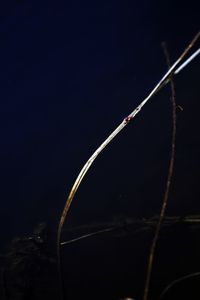 Close-up of rope against clear sky at night