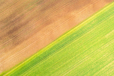 Full frame shot of agricultural field