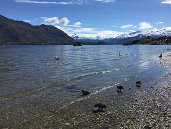 Scenic view of lake against sky