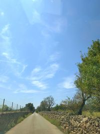 Dirt road along plants and trees against sky