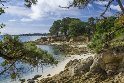 Scenic view of river against sky