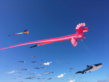 Low angle view of kites flying in sky