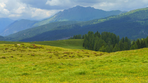 Scenic view of landscape and mountains against sky