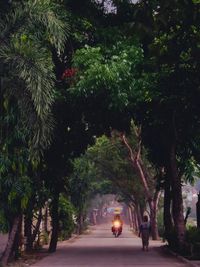 People walking on footpath