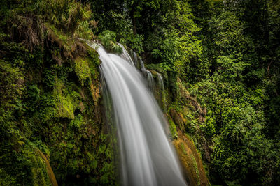 Scenic view of waterfall in forest