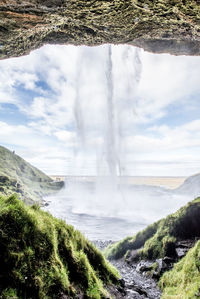 Scenic view of waterfall in forest