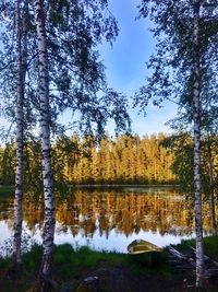 Reflection of trees in lake against sky