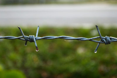 Close-up of barbed wire