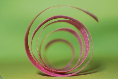 Close-up of spiral pattern