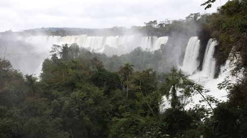 Waterfall in forest