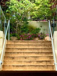 View of potted plants