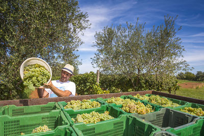 Portrait of man with fresh vegetables in farm