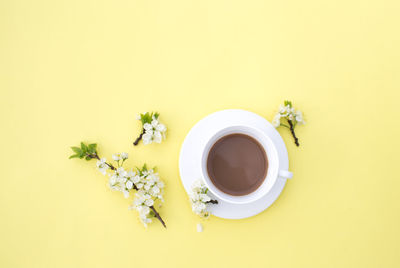 Directly above shot of potted plant against white background