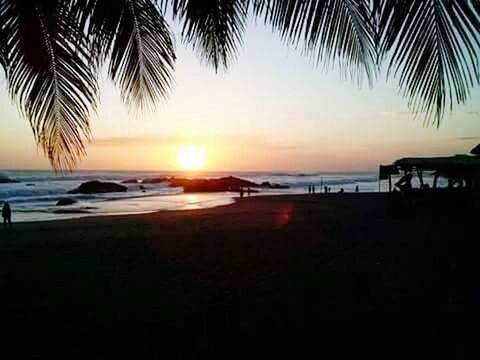 sea, sunset, beach, horizon over water, palm tree, water, scenics, silhouette, shore, tranquil scene, tranquility, beauty in nature, sun, orange color, sky, nature, idyllic, sand, tree, sunlight