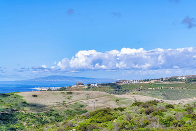 Scenic view of beach against blue sky