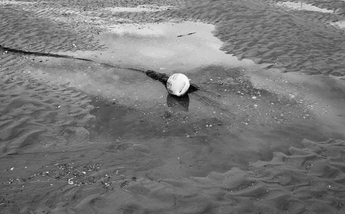 High angle view of man fishing in sea