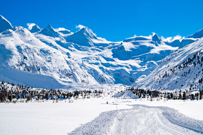 Val roseg, in engadine, switzerland, in winter, with snow-covered cross-country ski slopes.