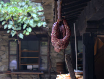 Ethnographic complex etar,gabrovo