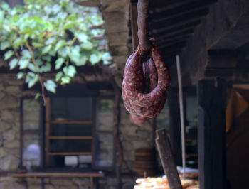 Ethnographic complex etar,gabrovo