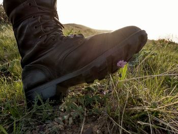 Low section of person on field