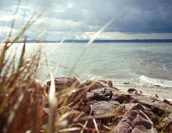 Close-up of sea against sky