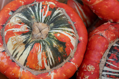 Colorful ornamental pumpkins on a market in meiningen, thuringia