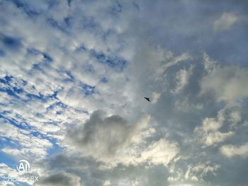 Low angle view of bird flying in sky