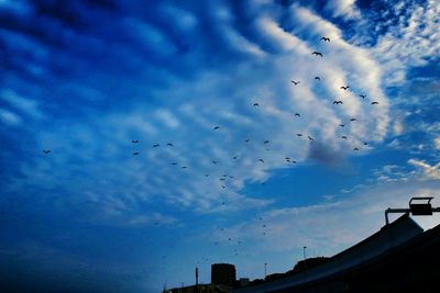 Low angle view of birds flying against cloudy sky