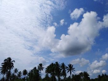 Low angle view of palm trees against blue sky