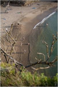 High angle view of birds on beach
