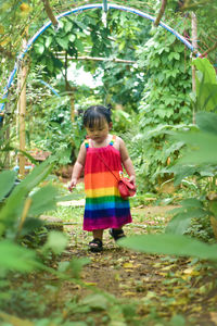 Rear view of woman standing amidst plants