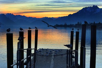 Wooden posts in lake against sky during sunset