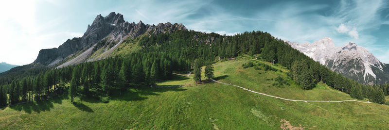 Panoramic view of trees on mountain against sky