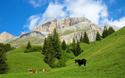 Panoramic view of green landscape against sky