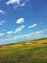 Scenic view of field against blue sky