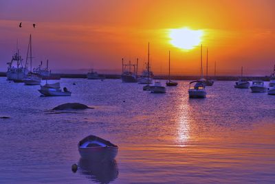 Sailboats moored on sea against orange sky