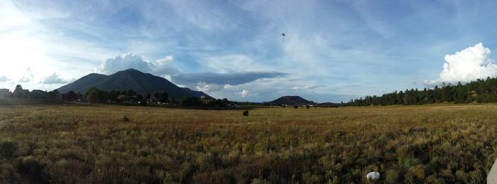 Scenic view of field against sky