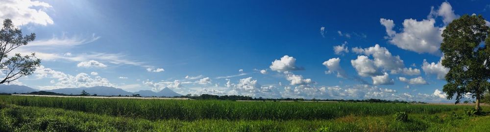 Panoramic view of field against sky