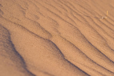 Full frame shot of sand dune