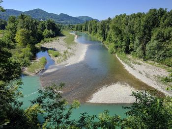 Scenic view of river amidst trees against sky
