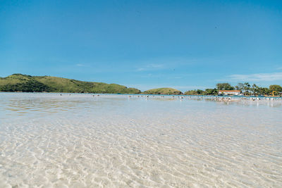 Scenic view of beach against clear blue sky