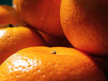 Close-up of orange