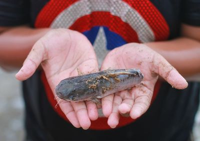 Close-up of person holding fish