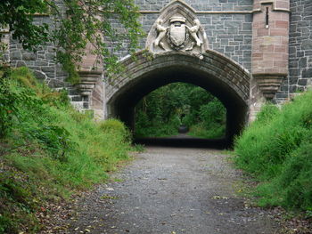 View of narrow walkway along trees