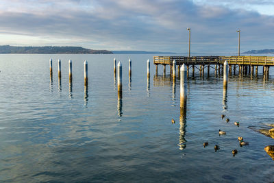 Empty wooden pier at redondo beach, washington.