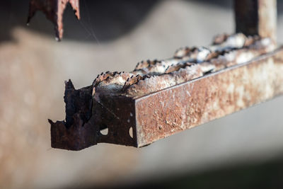 Metal in industrial area in landquart in switzerland