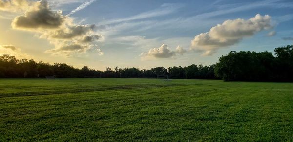 Scenic view of grassy field against sky during sunset