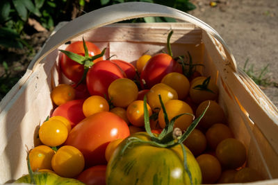 High angle view of fruits in basket